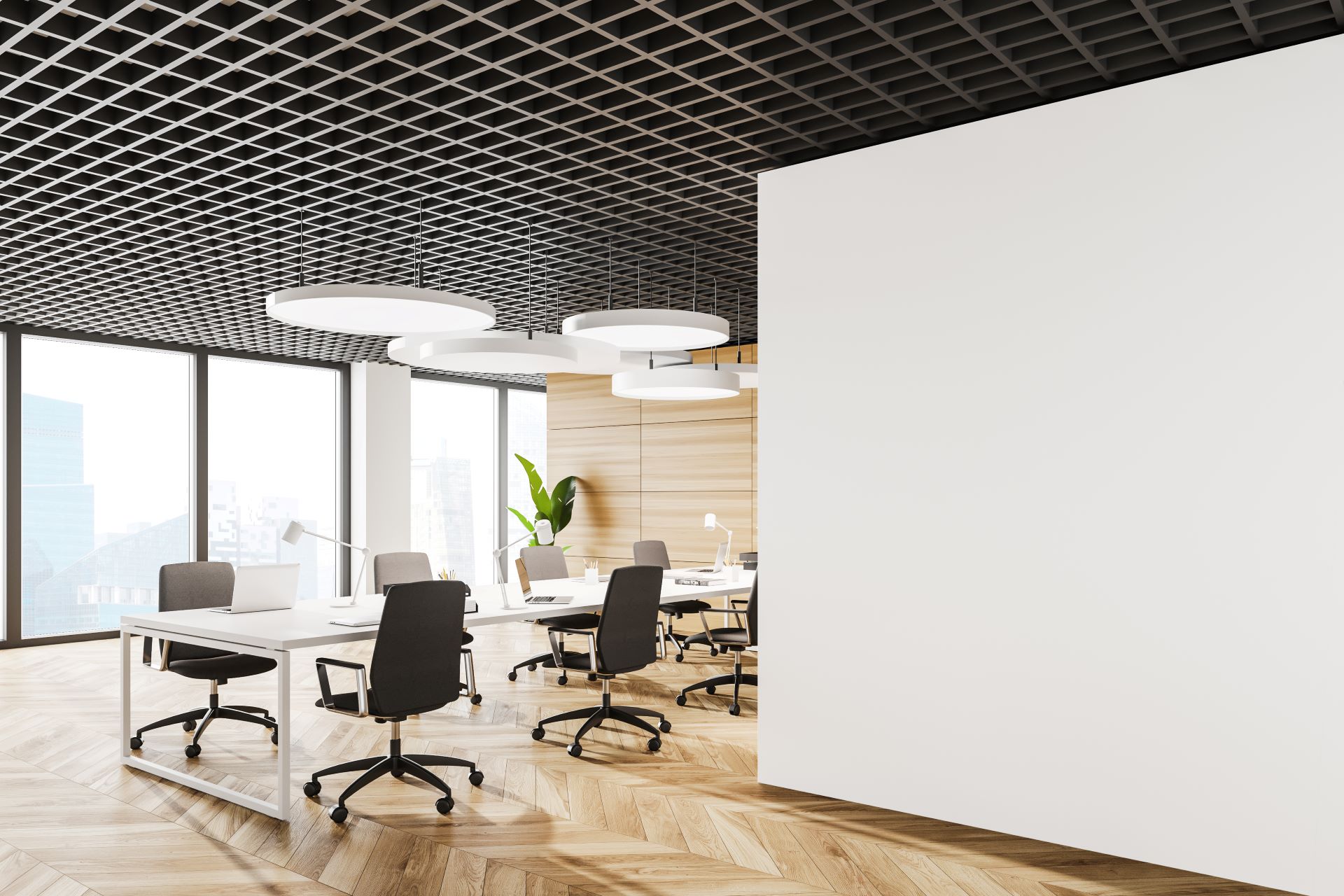Ceiling Project